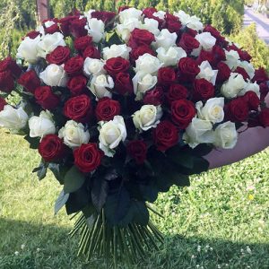 101 красная и белая роза в Сумах фото