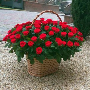 101 красная роза в корзине в Сумах фото