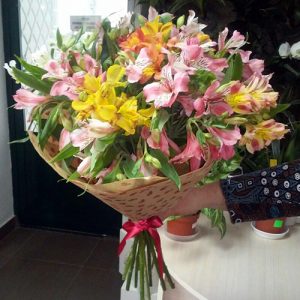 букет альстромерий в Сумах фото