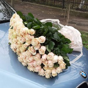 101 кремовая роза в Сумах фото