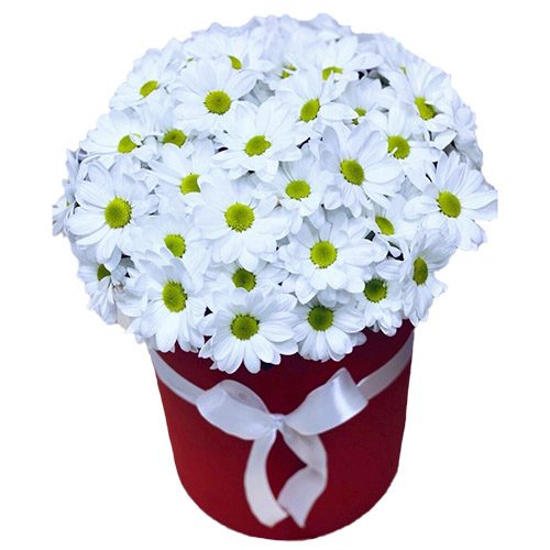 Фото товара Шляпная коробка "Ромашки"