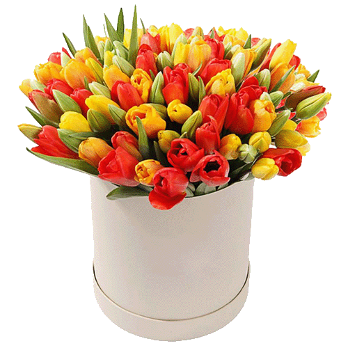 Фото товара 101 тюльпан в шляпной коробке