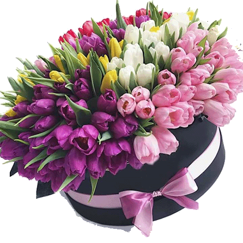 фото 151 тюльпан в шляпной коробке