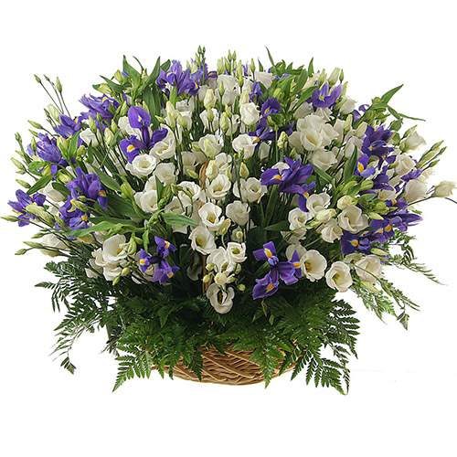 Фото товара 101 эустома в корзине