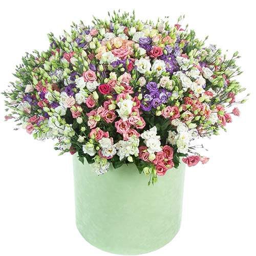 Фото товара 101 эустома в шляпной коробке