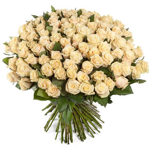 Фото товара 101 кремовая роза
