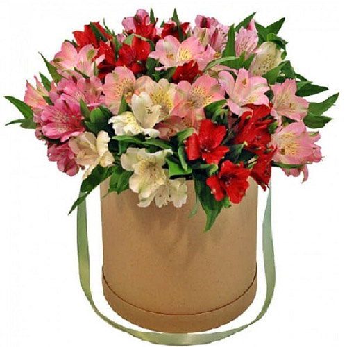 Фото товара Шляпная коробка "Салют"