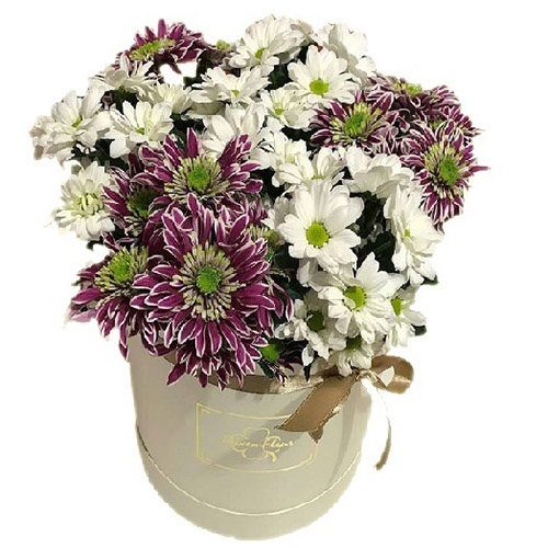 Фото товара Хризантемы в шляпной коробке