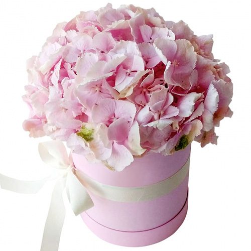 Фото товара Шляпная коробка "Нежная"