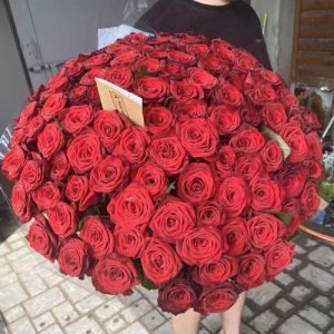 Фото товара 2013