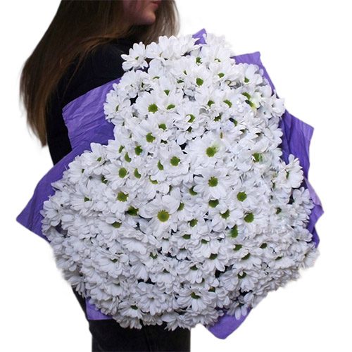 Фото товара Букет хризантем "Люблю тебя"