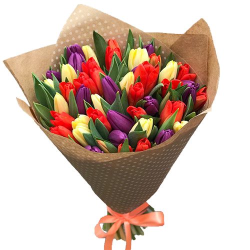 Фото товара 25 тюльпанов микс