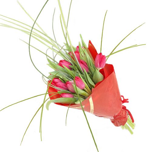 Фото товара Букет "Фонтан" (15 тюльпанов)