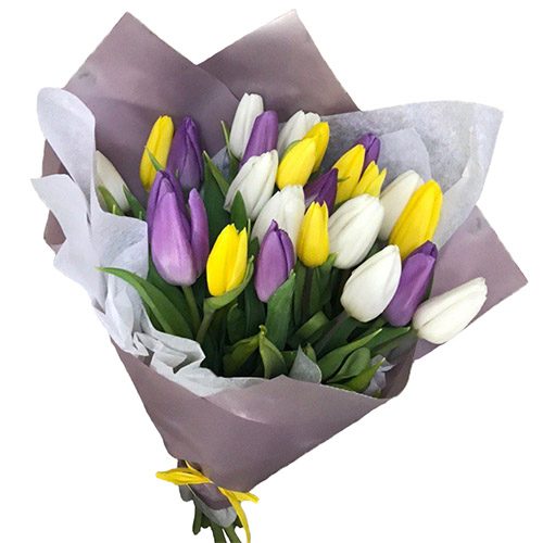 Фото товара 25 тюльпанов "Княгиня"