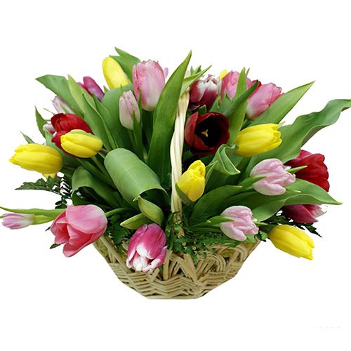 Фото товара 25 тюльпанов микс в корзине