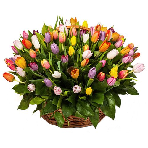 Фото товара 101 тюльпан ассорти в корзине
