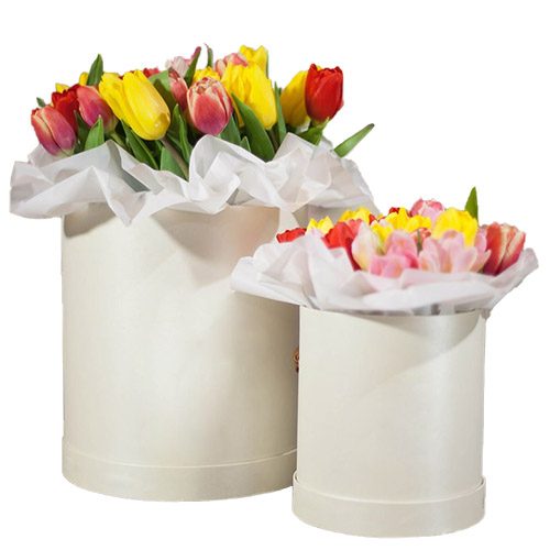 Фото товара Подарок "Две звезды"