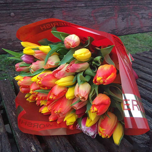 большой букет цветных тюльпанов в Сумах фото