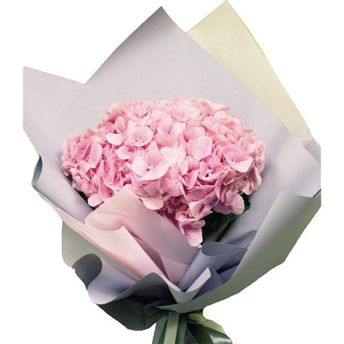 Фото товара Розовая гортензия