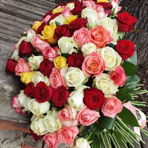 101 цветная роза микс в Сумах фото