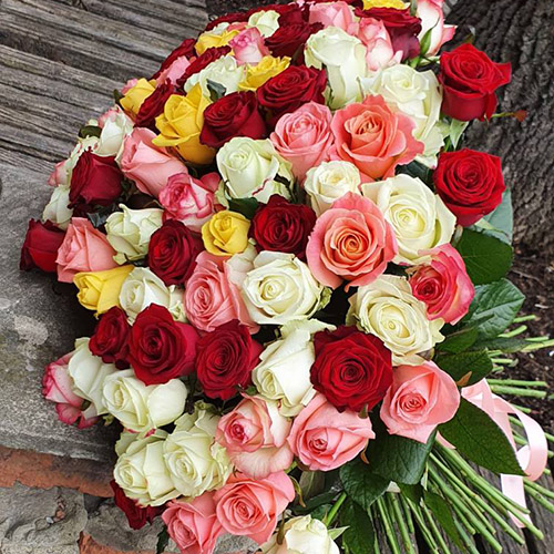 фото букета 101 роза микс всех цветов