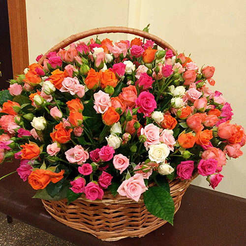 Посмотреть товары из категории «Корзины» | Полтава | «Роза Сум» категория товаров Корзины | Полтава | «Роза Сум»